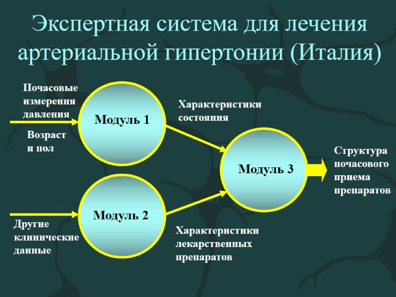 Экспертная система для лечения артериальной гипертонии (Италия) Модуль 1 Модуль 2 Модуль 3 Почасовые